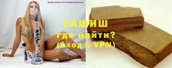 гашик Алексин