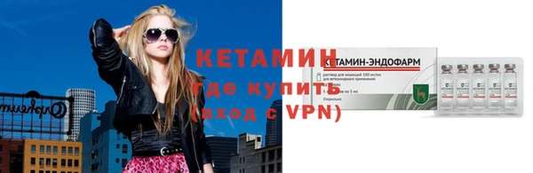 гашик Алексин