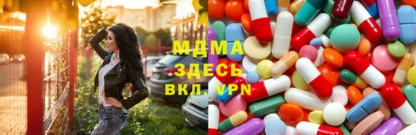 гашик Алексин